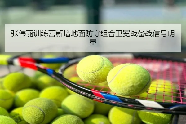 张伟丽训练营新增地面防守组合卫冕战备战信号明显